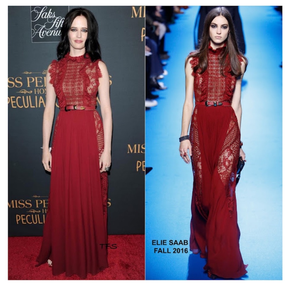Elie Saab Fall 2016 Runway Lace Maxi Dress